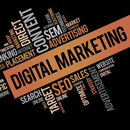 vidhya-digital-marketing